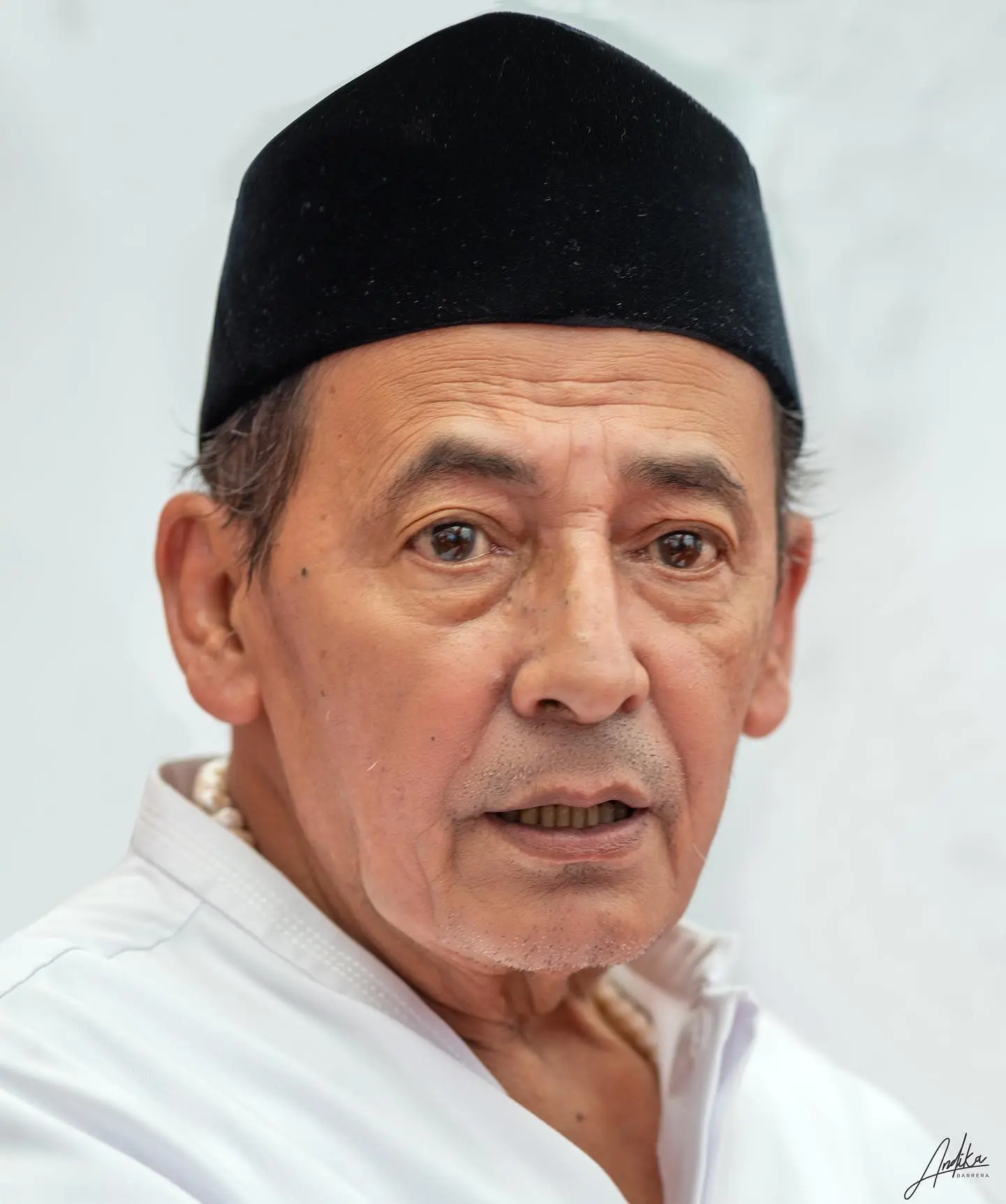 Maulana Al-Habib Muhammad Luthfi bin Ali bin Yahya