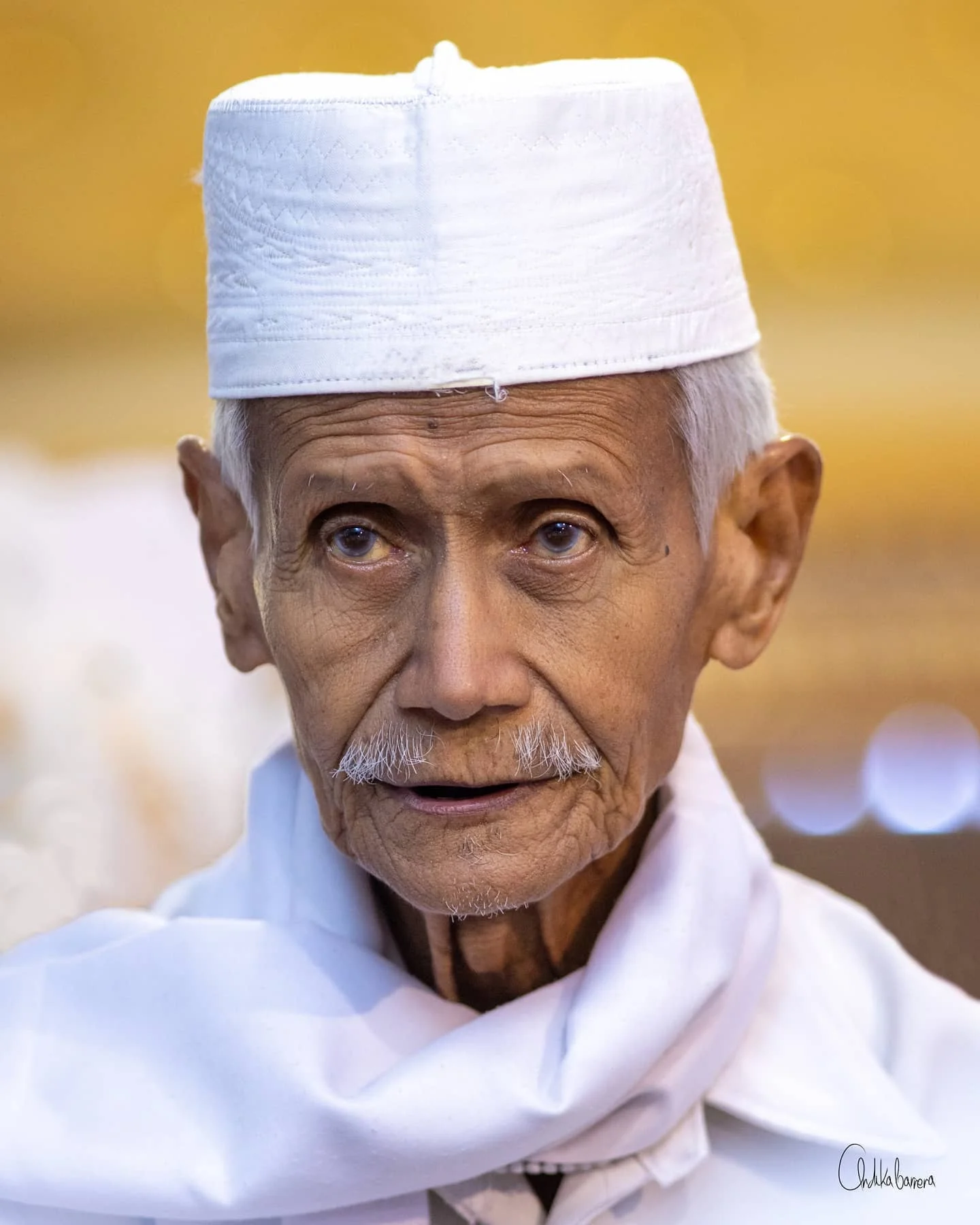 Habib Sholeh Al Haddad
